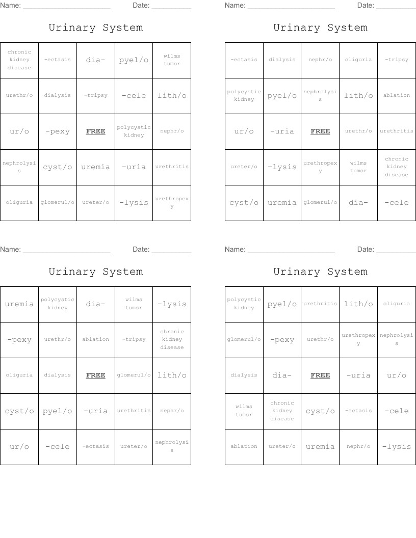 Urinary System Bingo Cards