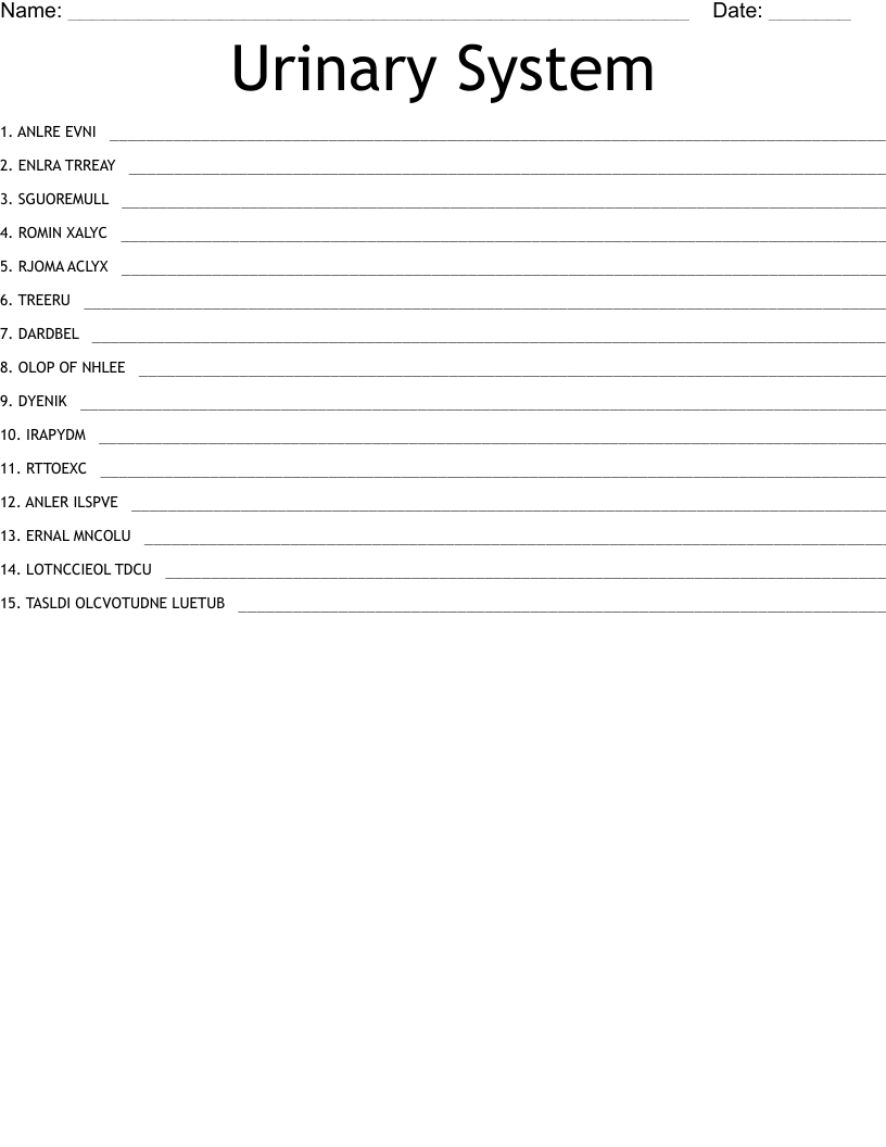 Urinary System Word Scramble