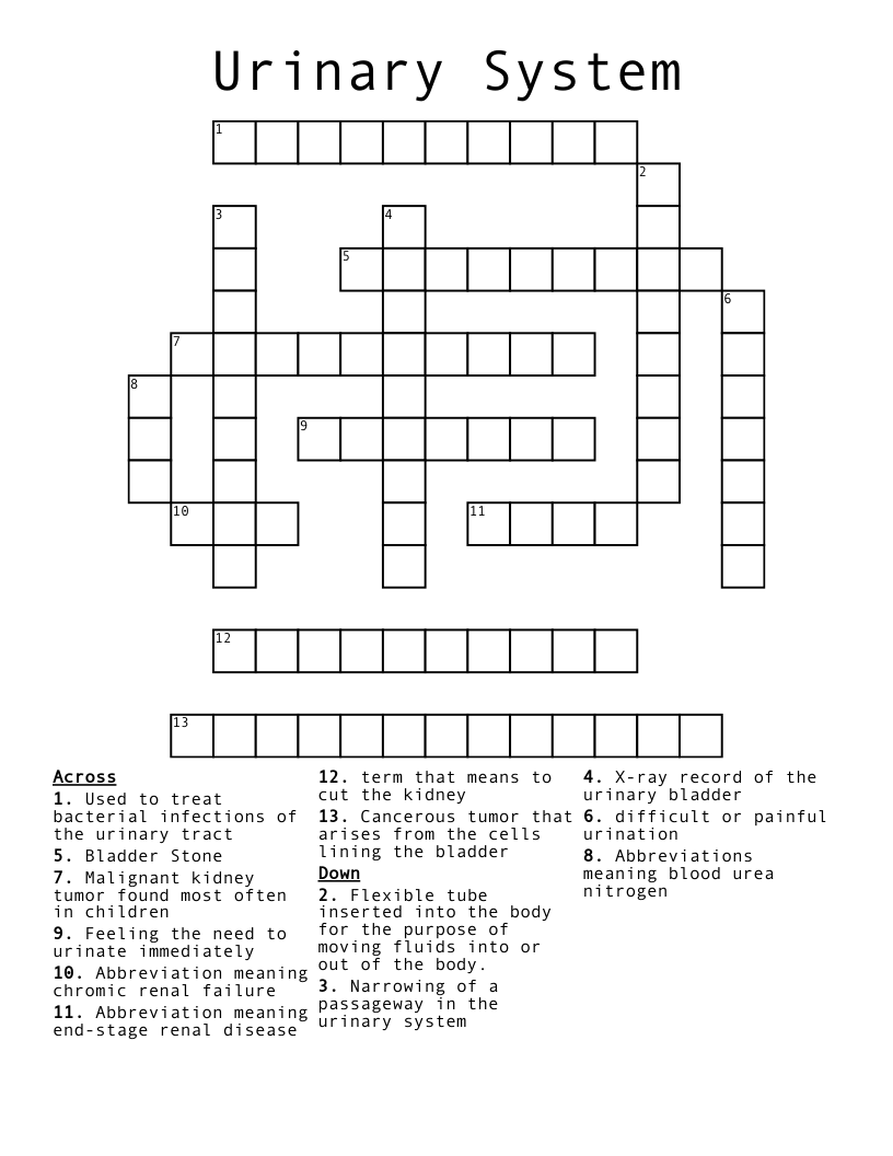 Urinary System Crossword