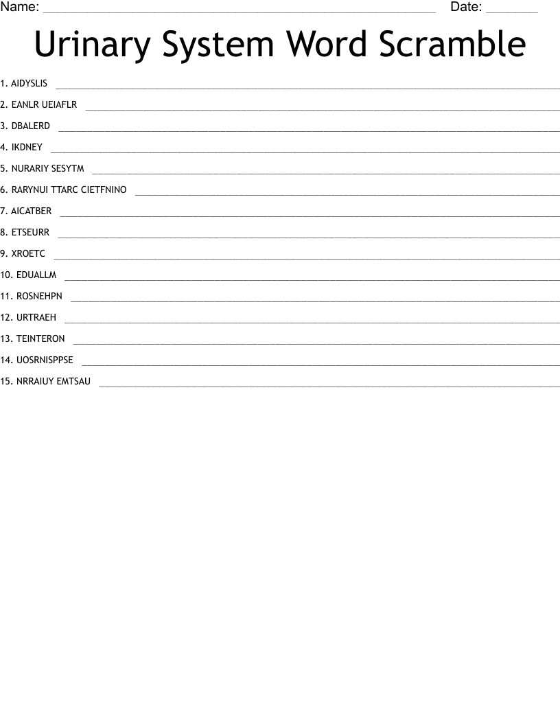 Urinary System Word Scramble 