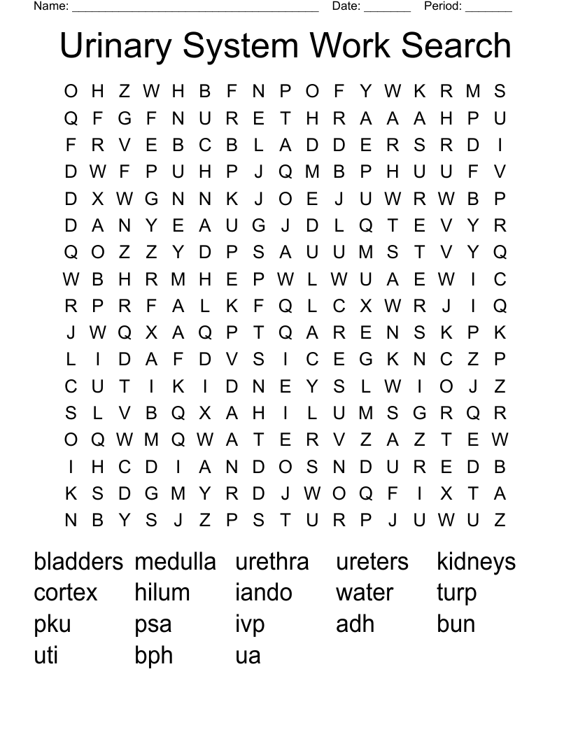 Urinary System Work Search Word Search