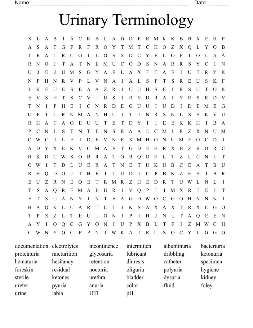 Urinary Terminology Word Search