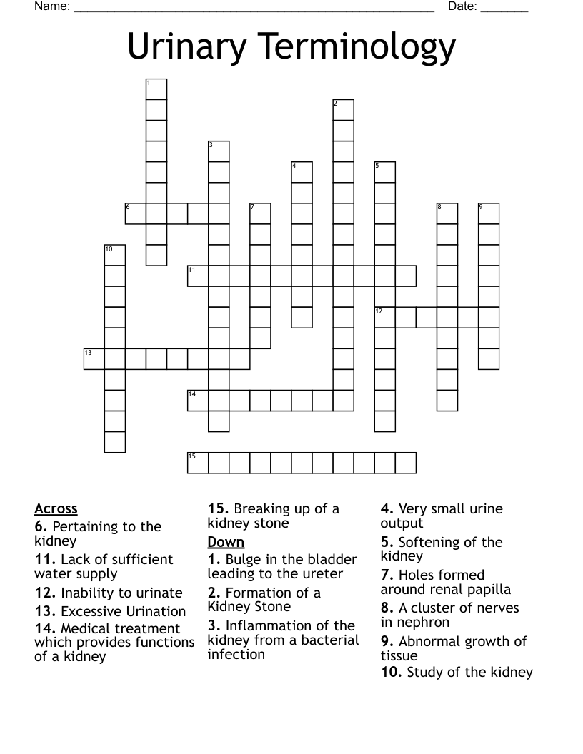 Urinary Terminology Crossword