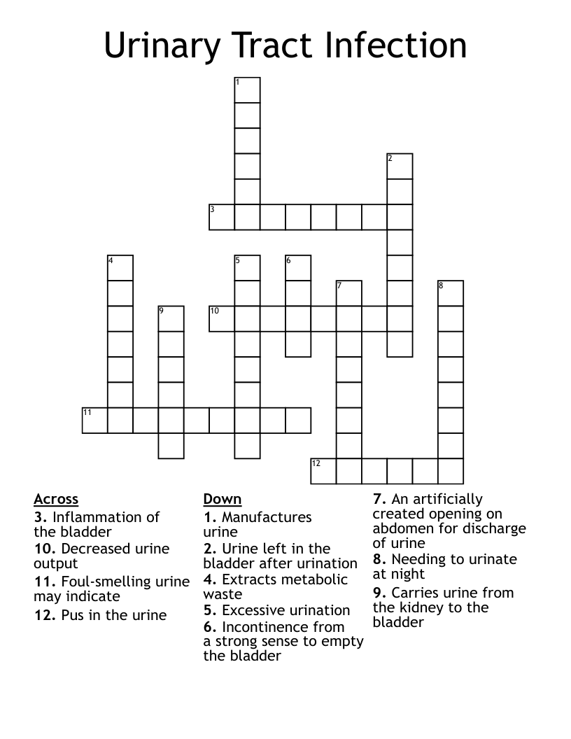 Urinary Tract Infection Crossword
