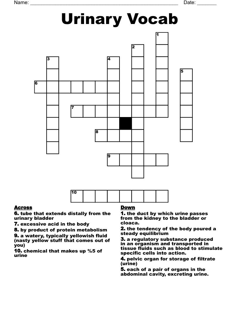 Urinary Vocab Crossword