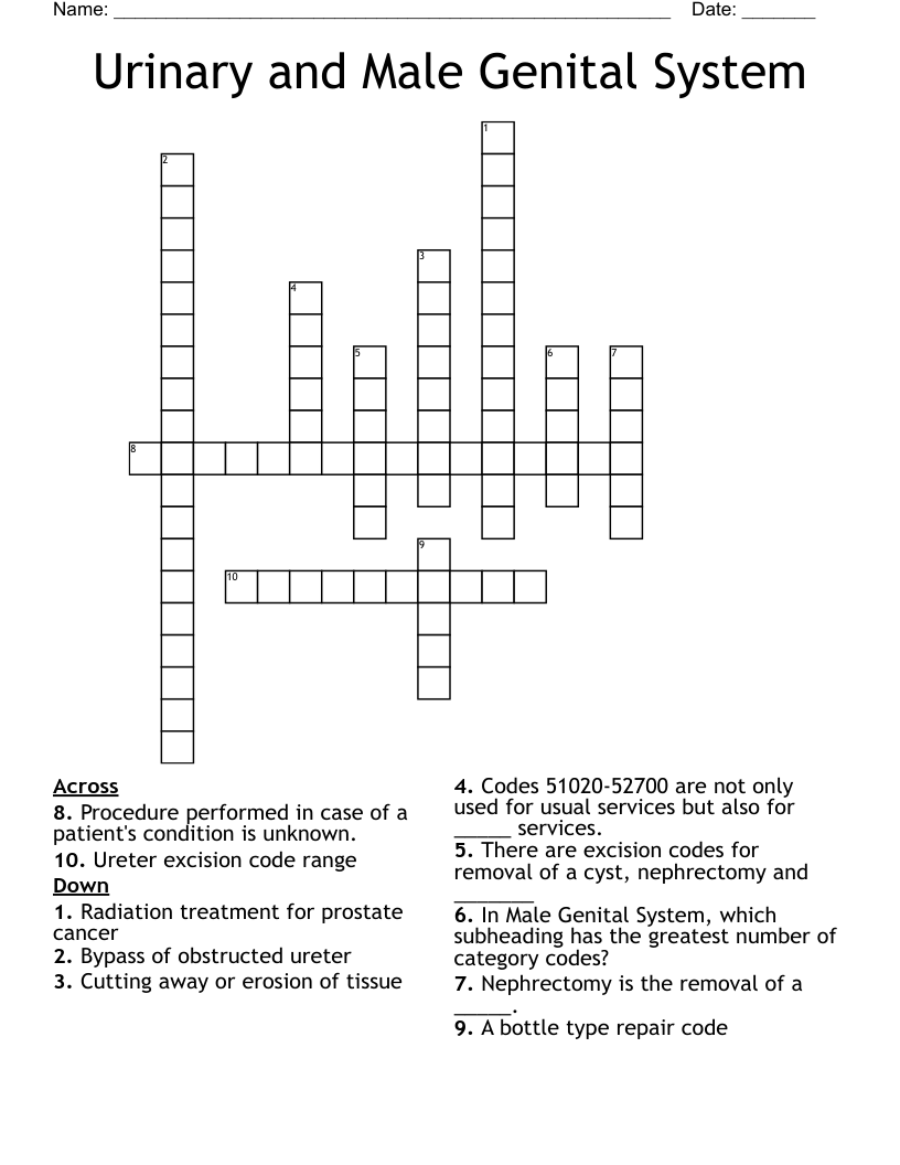 Urinary and Male Genital System Crossword