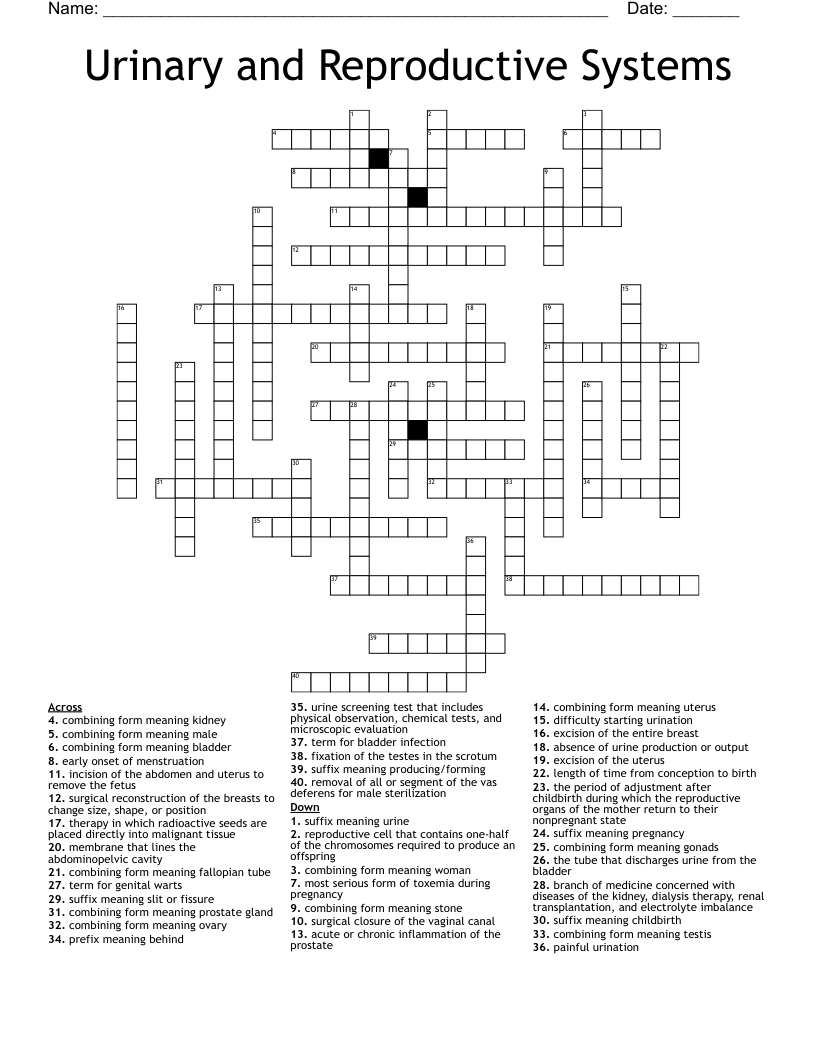 Urinary and Reproductive Systems Crossword