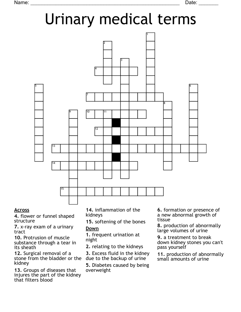 Urinary medical terms Crossword