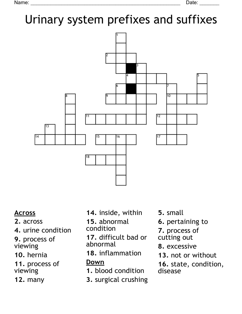 Urinary system prefixes and suffixes Crossword