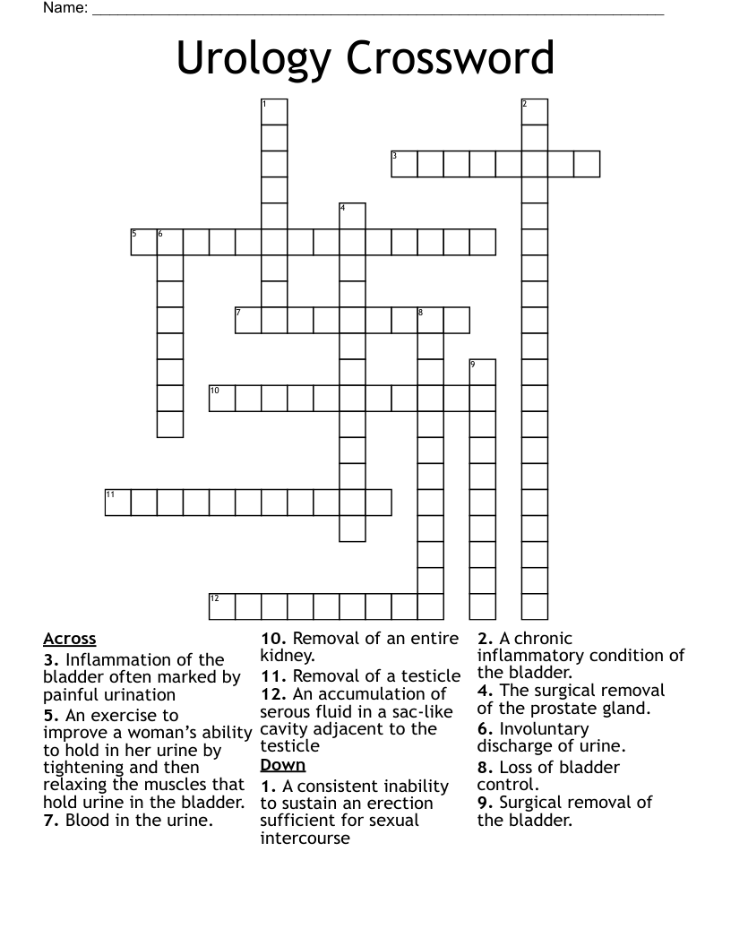 Urology Crossword