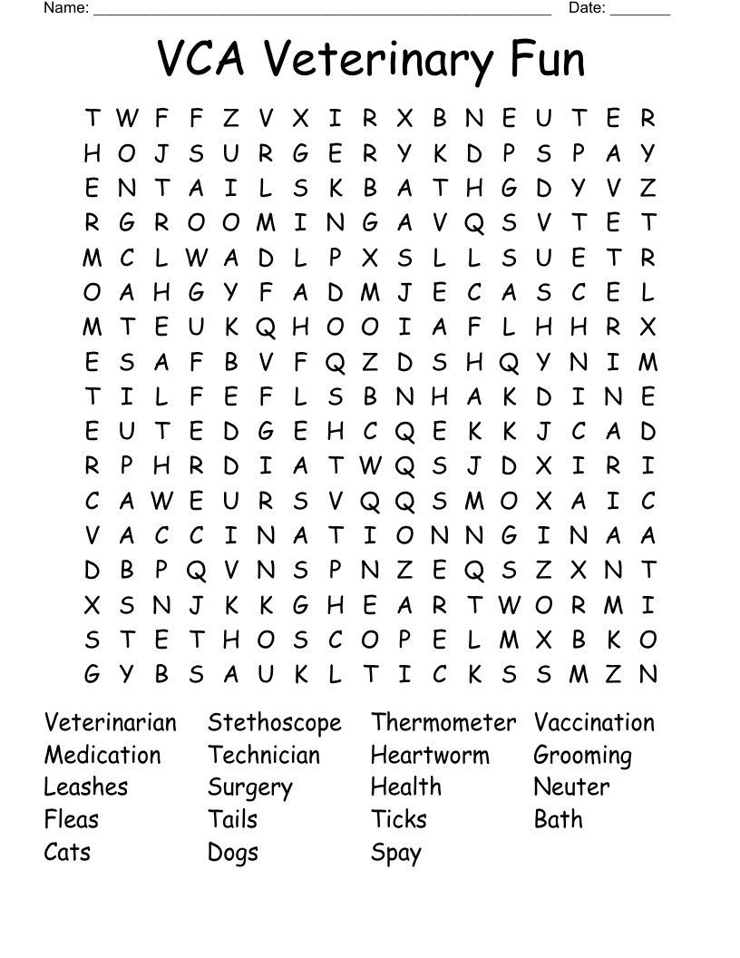 VCA Veterinary Fun