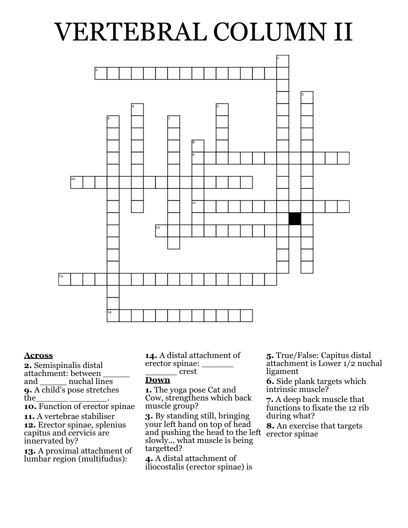 VERTEBRAL COLUMN II Crossword