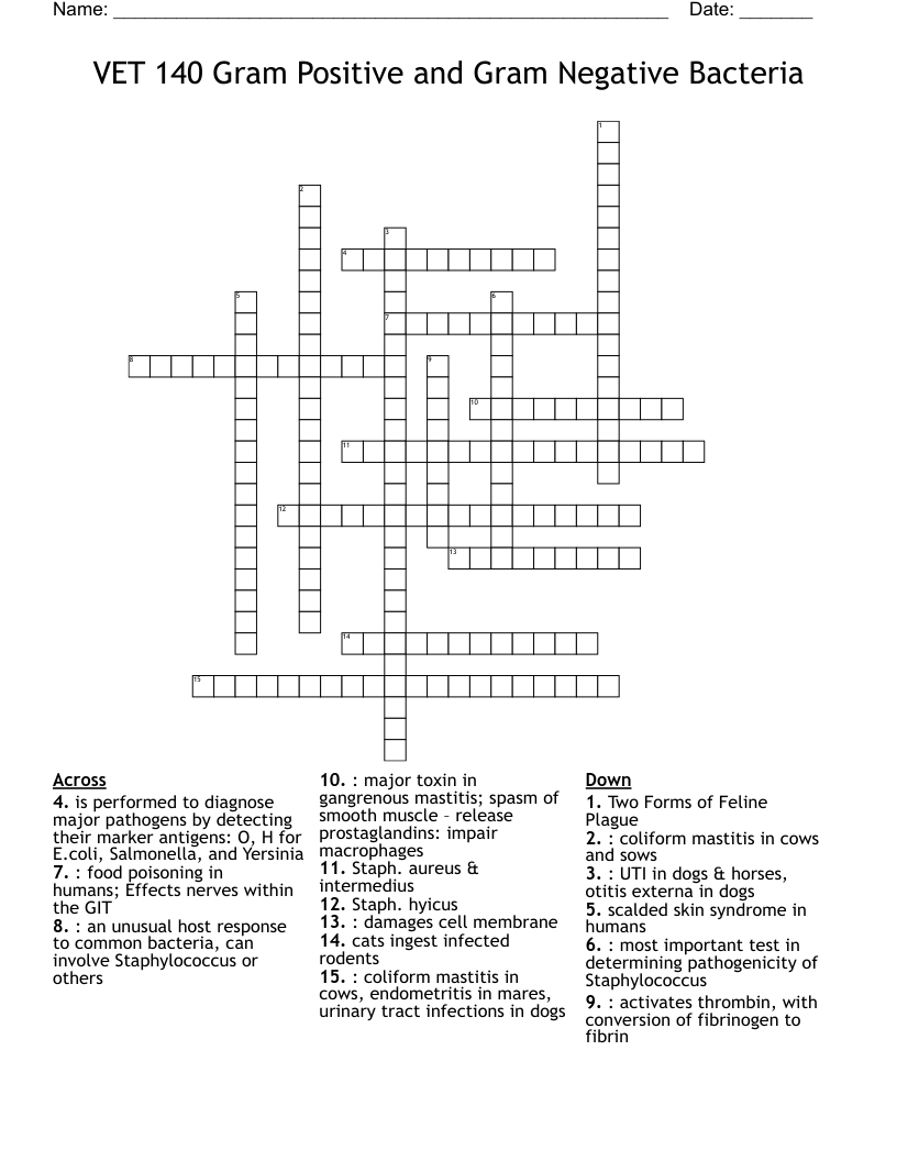 VET 140 Gram Positive and Gram Negative Bacteria Crossword