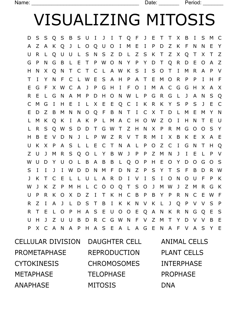 VISUALIZING MITOSIS   Word Search
