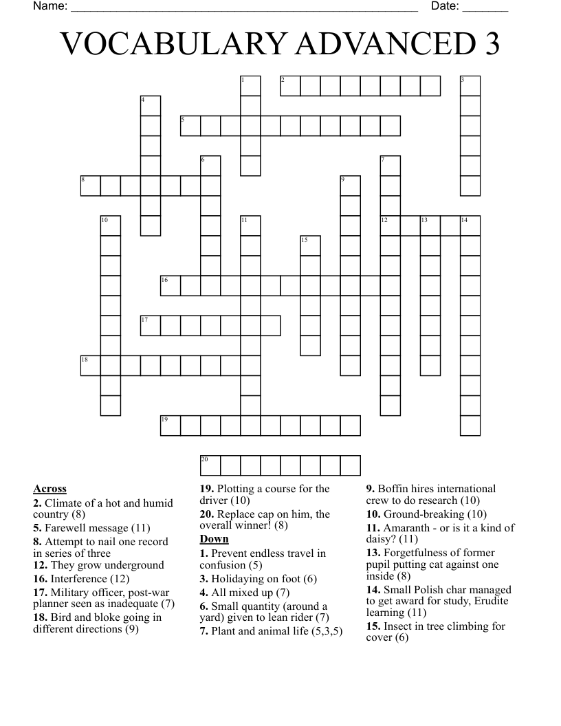 VOCABULARY ADVANCED 3 Crossword