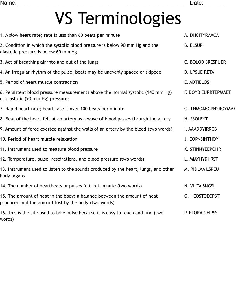 VS Terminologies Worksheet