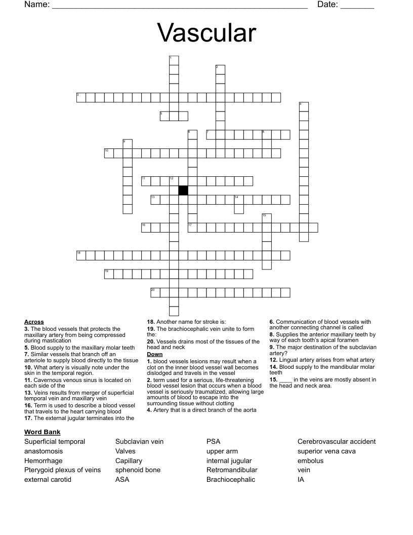 Vascular  Crossword