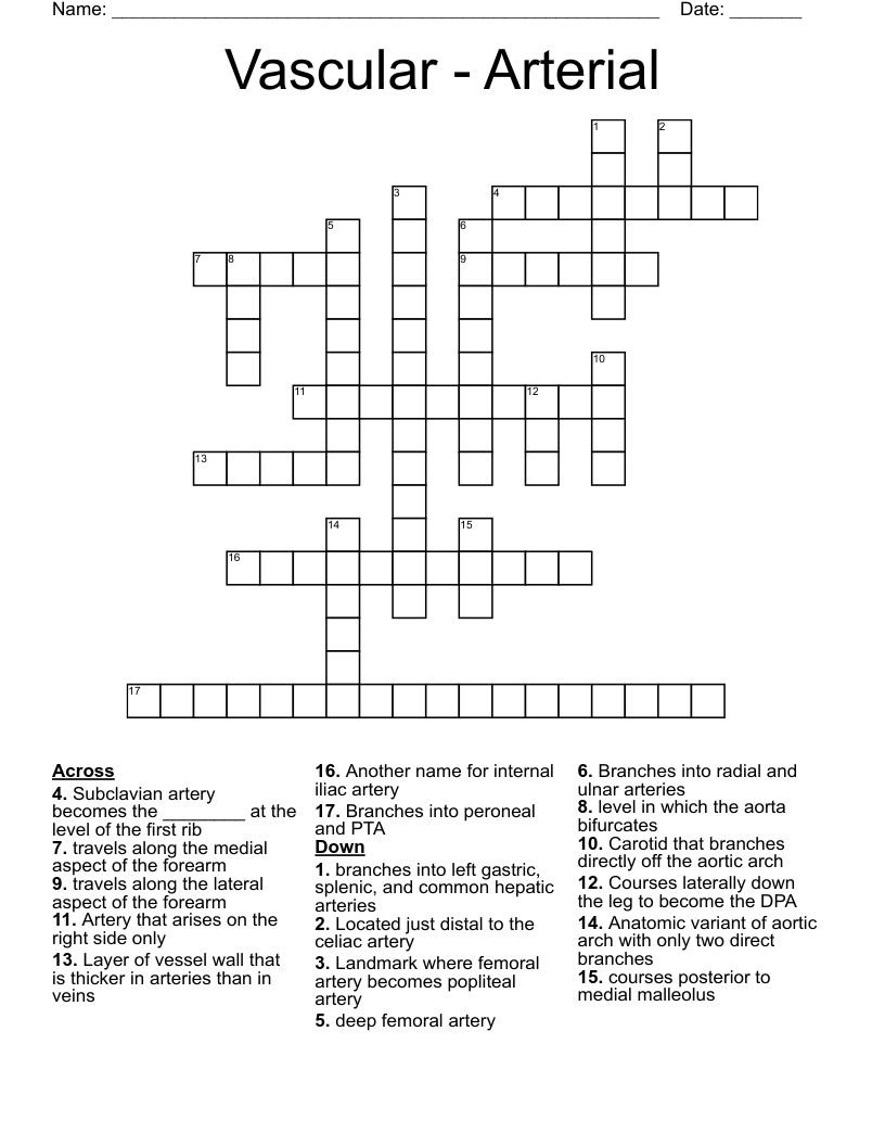 Vascular - Arterial Crossword
