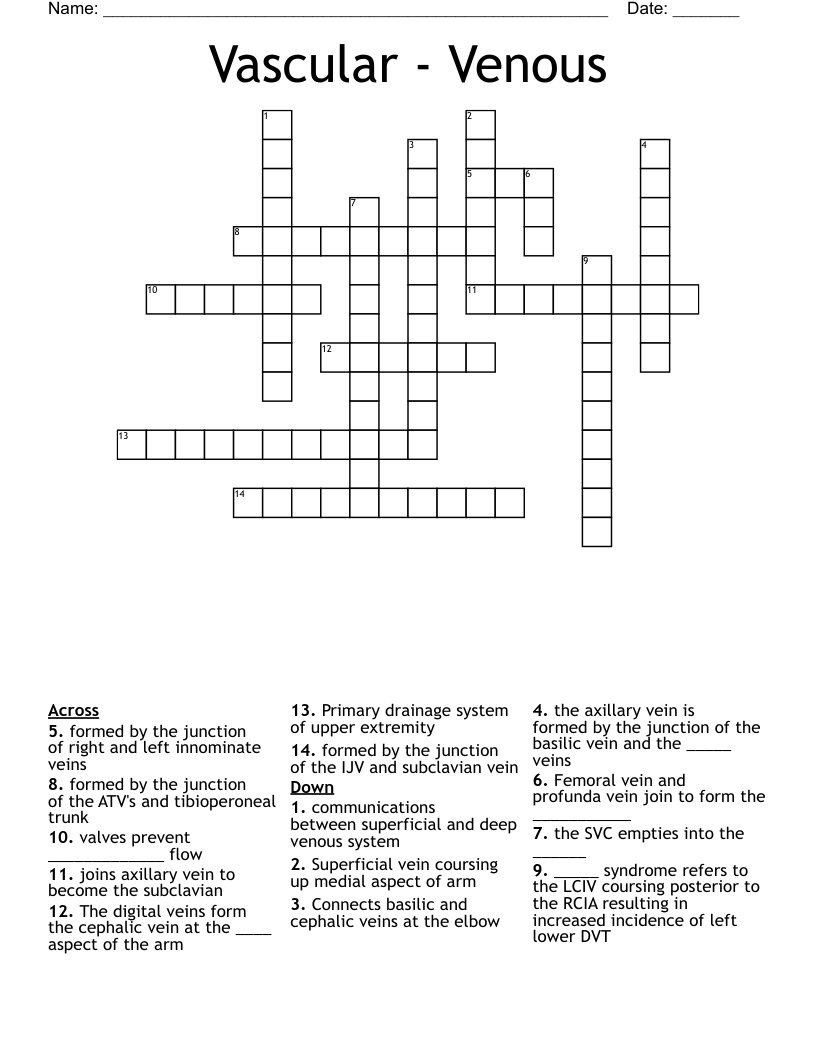 Vascular - Venous Crossword