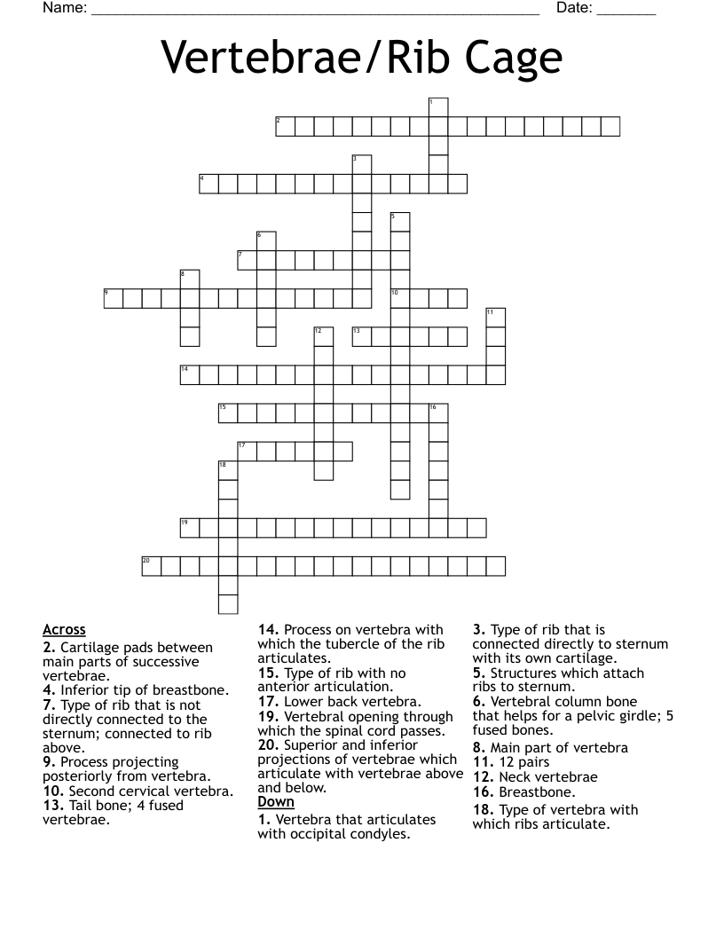 Vertebrae/Rib Cage Crossword