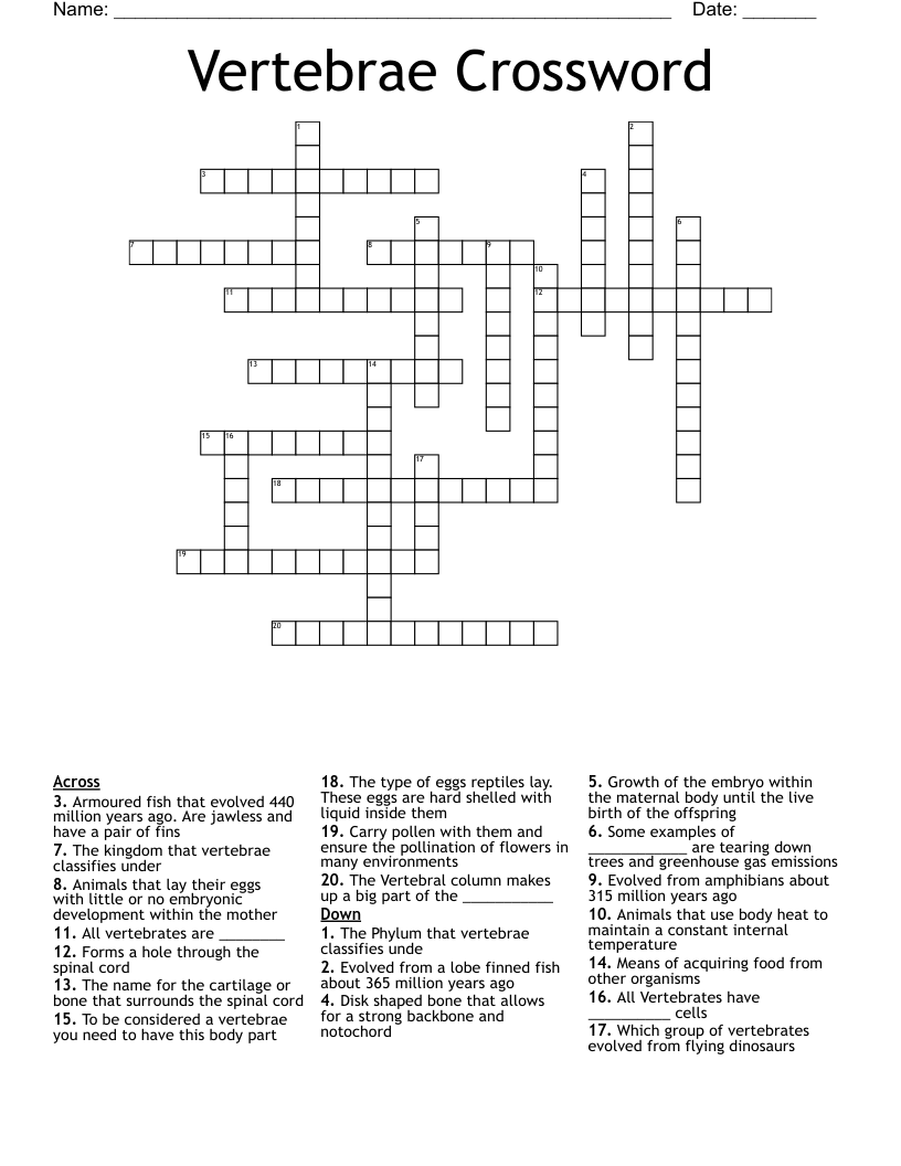 Vertebrae Crossword