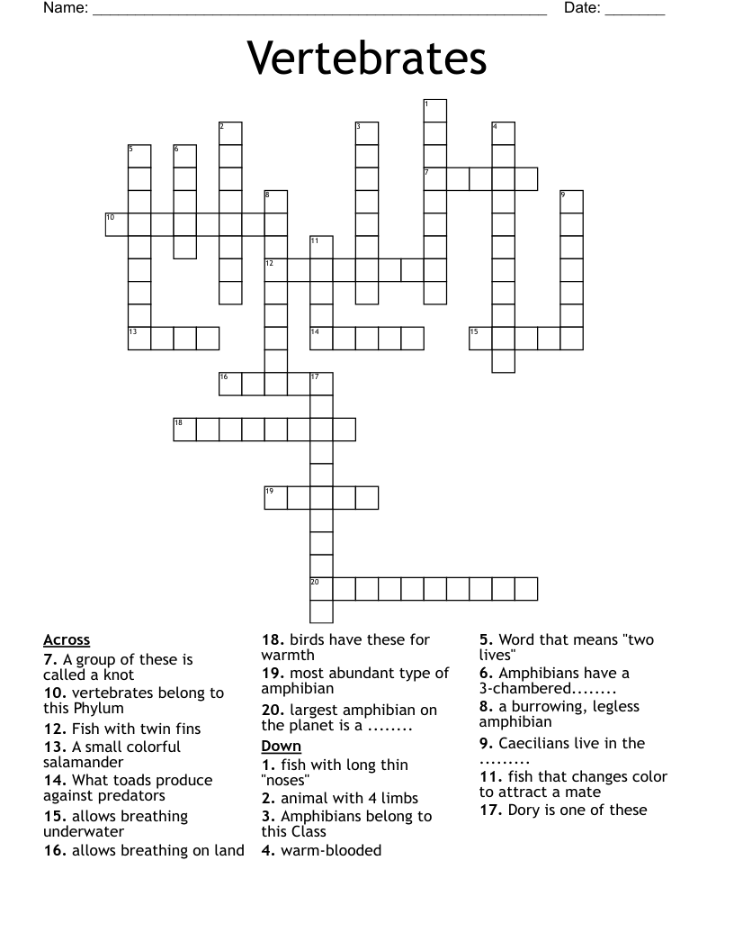 Vertebrates Crossword