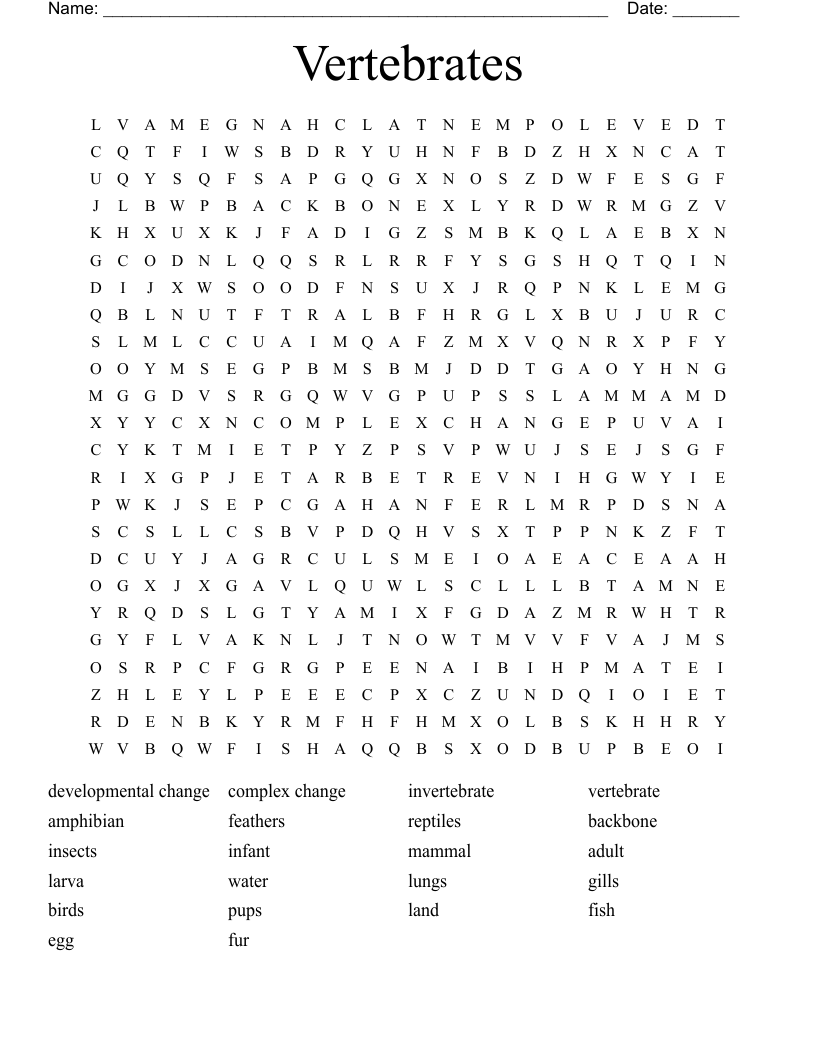 Vertebrates Word Search