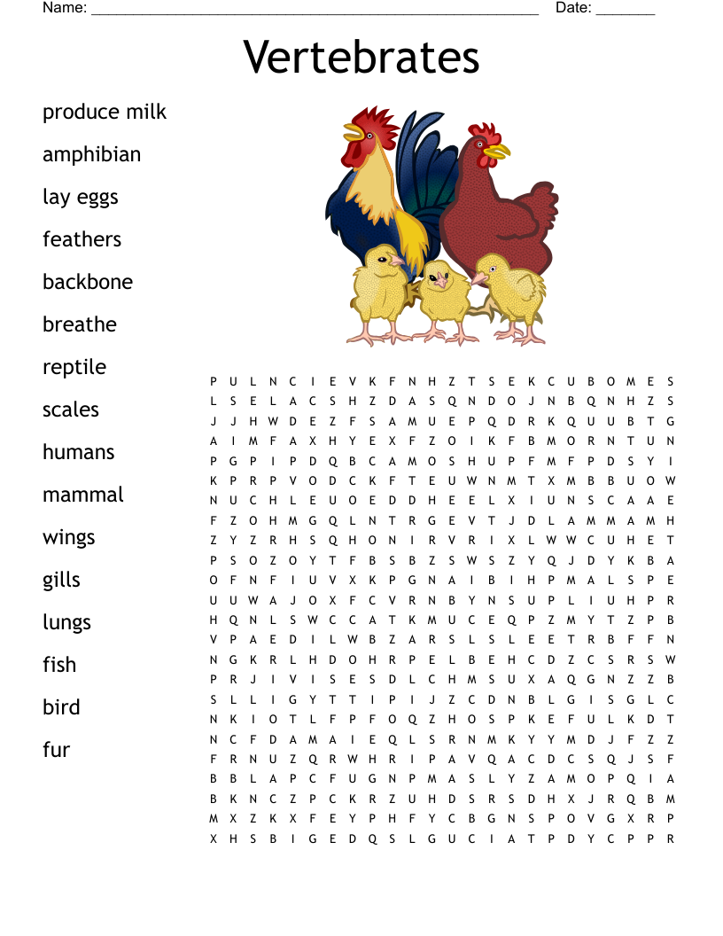 Vertebrates Word Search