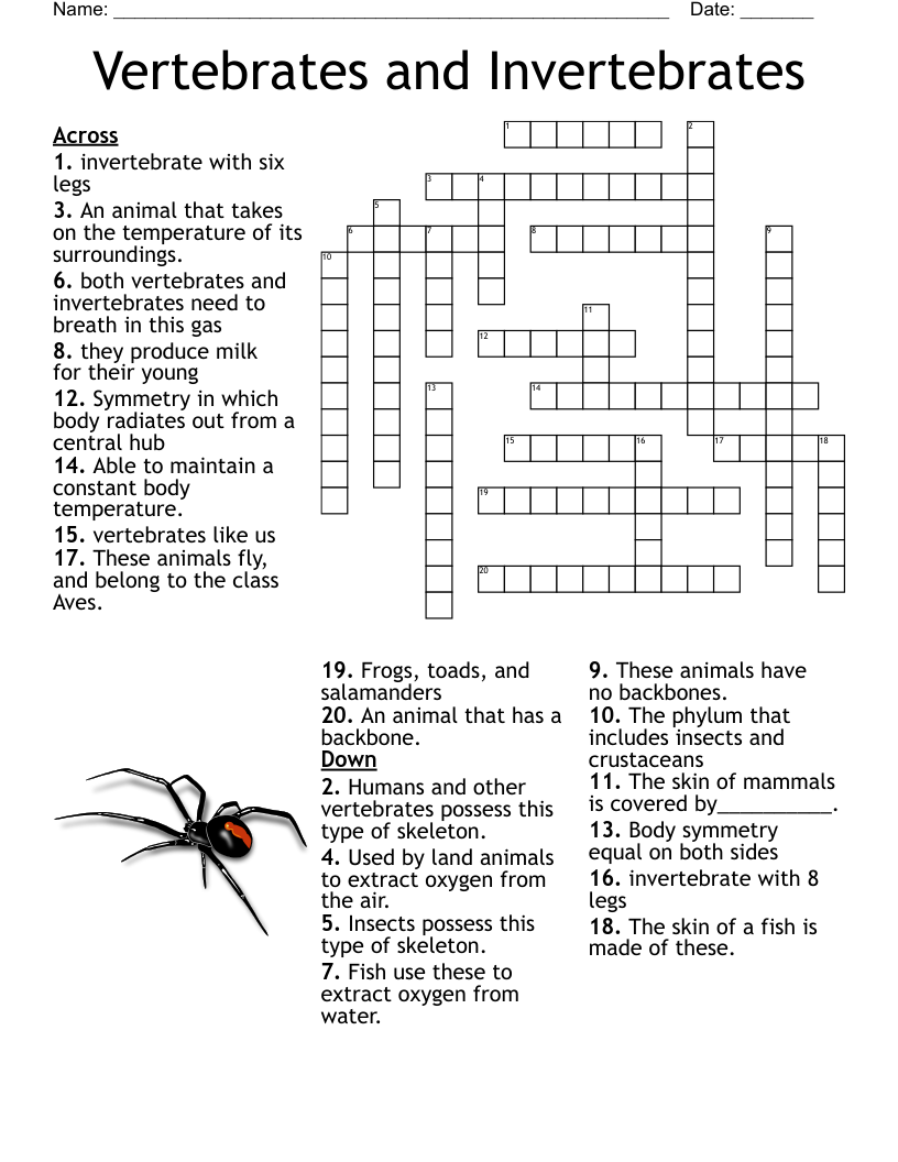 Vertebrates and Invertebrates Crossword