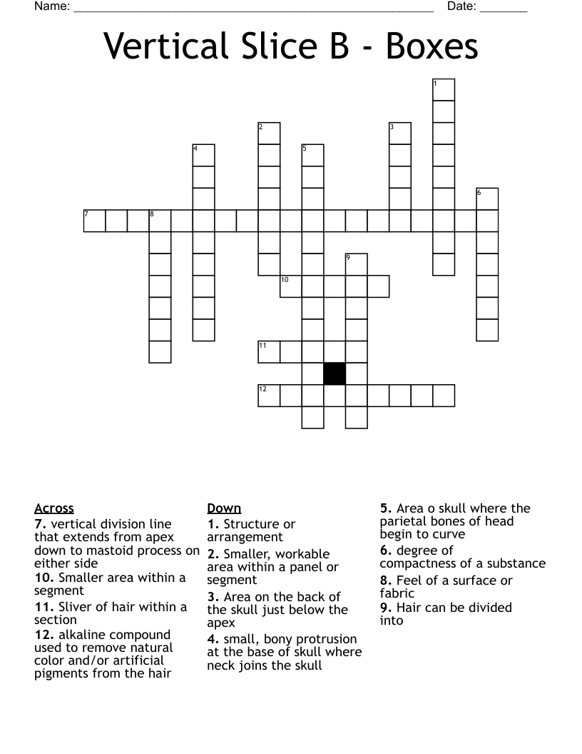 Vertical Slice B - Boxes Crossword