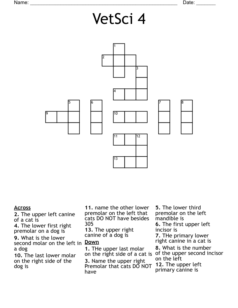 VetSci 4 Crossword