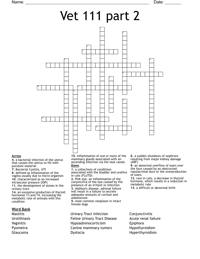 Vet 111 part 2 