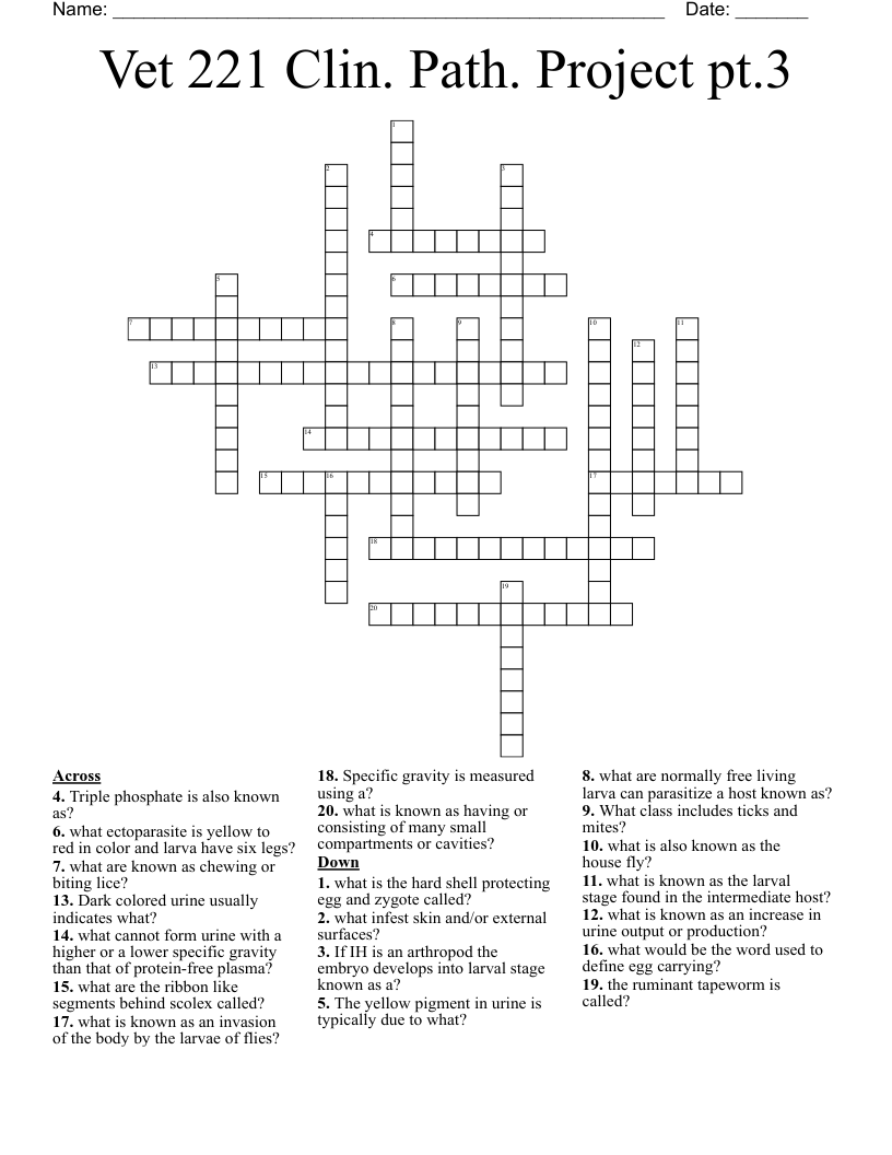 Vet 221 Clin. Path. Project pt.3  Crossword