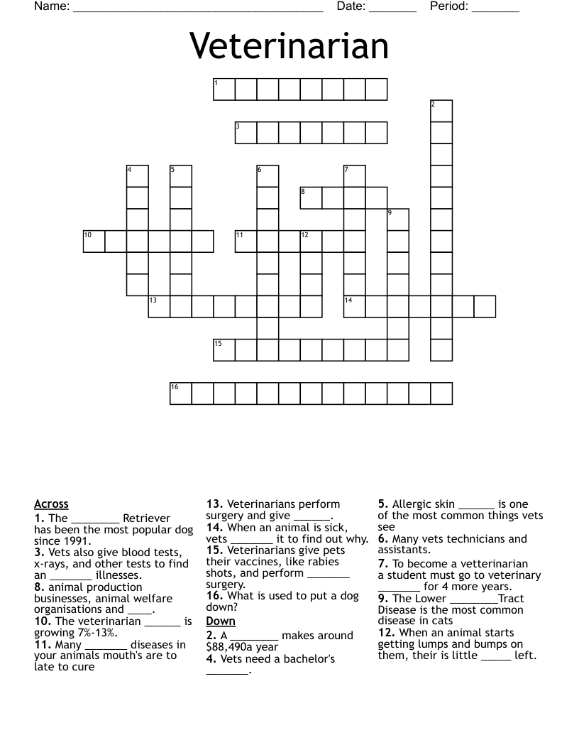 Veterinarian Crossword
