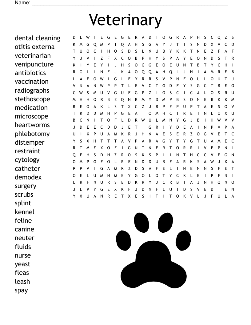 Veterinary Word Search