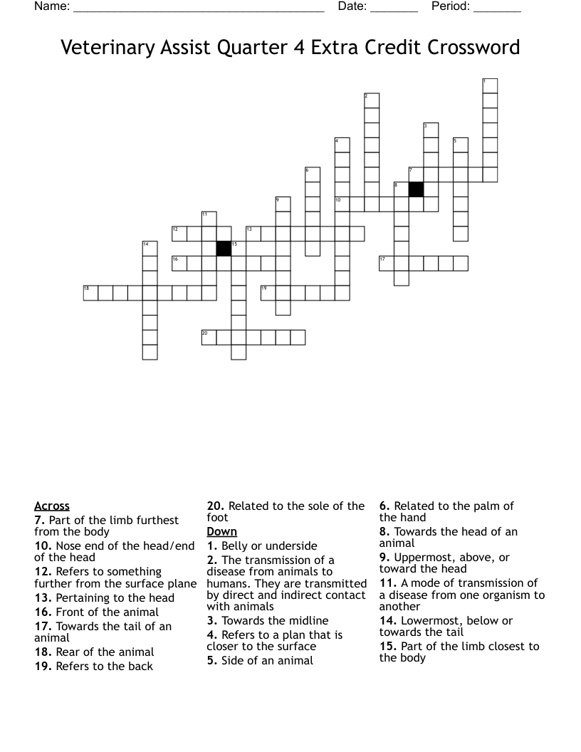 Veterinary Assist Quarter 4 Extra Credit Crossword