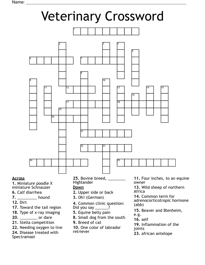 Veterinary Crossword