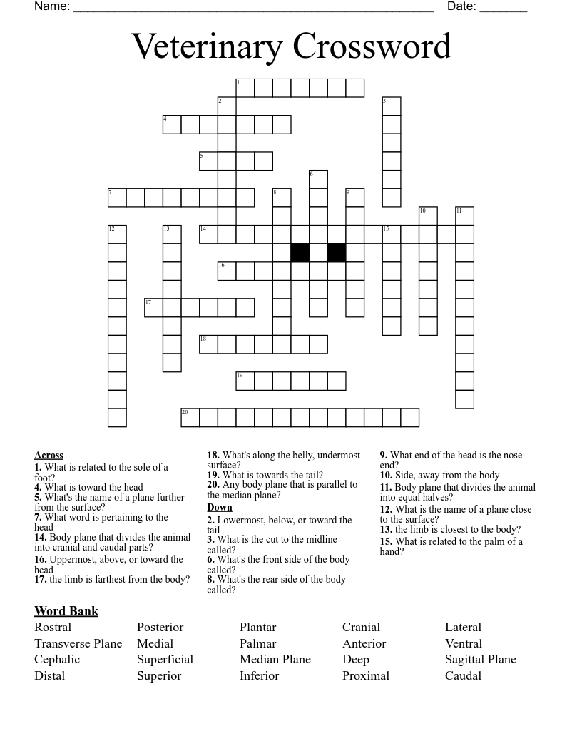Veterinary Crossword