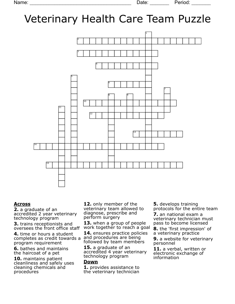 Veterinary Health Care Team Puzzle