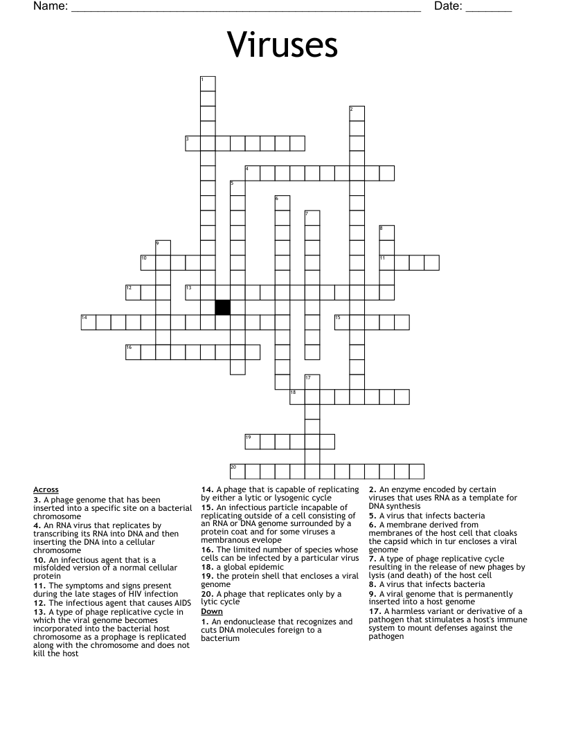 Viruses Crossword