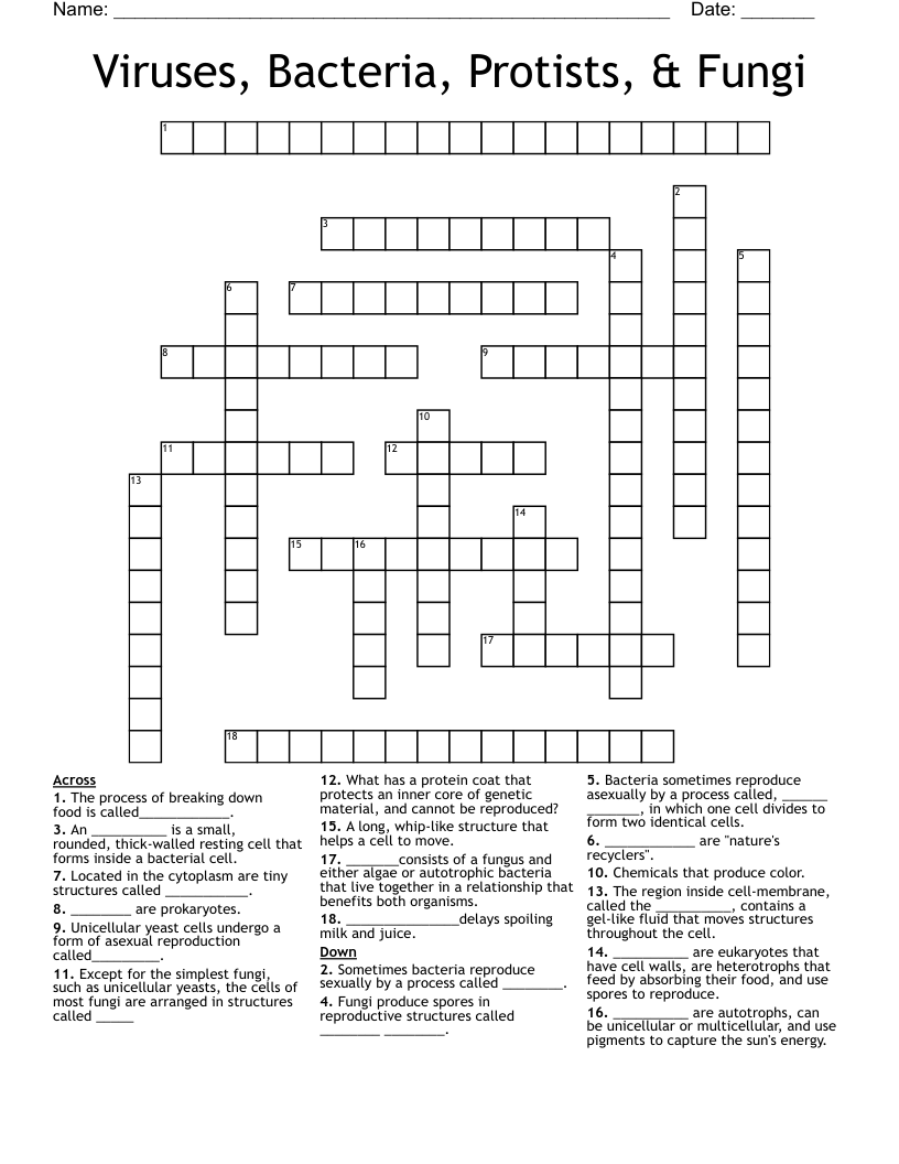 Viruses, Bacteria, Protists, & Fungi Crossword