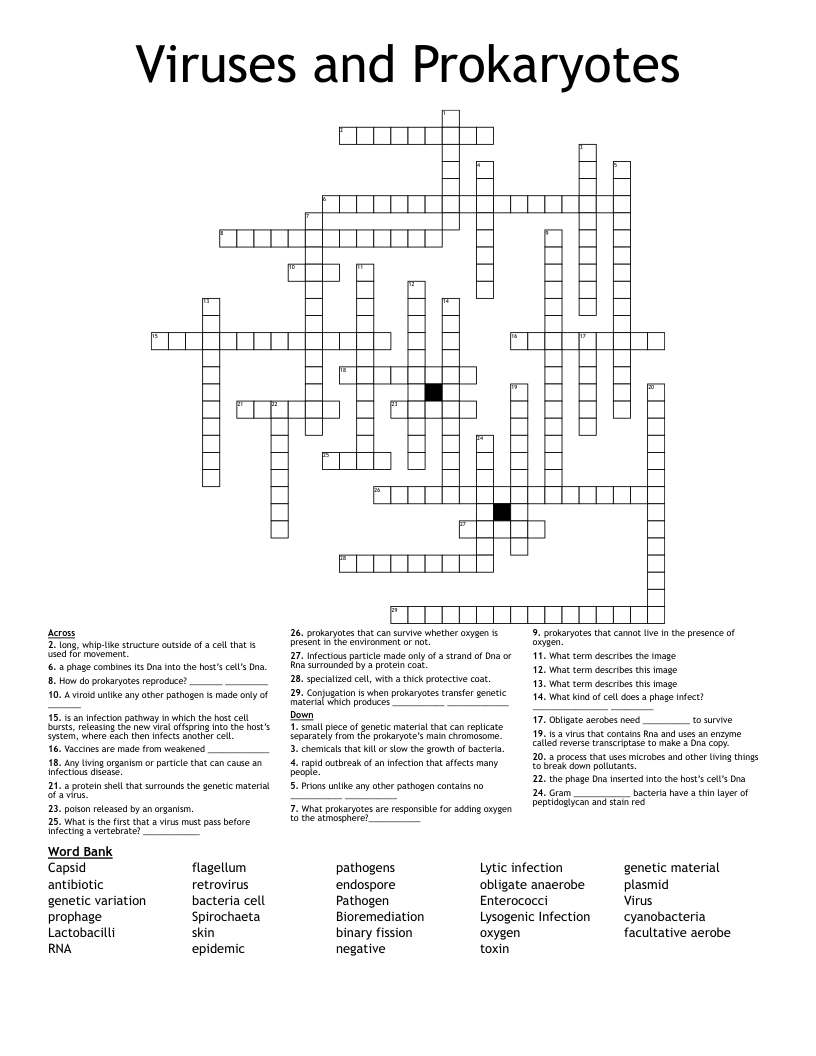 Viruses and Prokaryotes Crossword