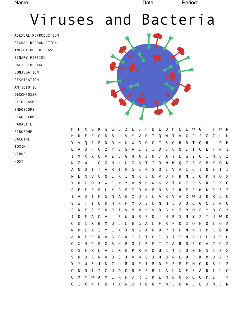 Viruses and Bacteria Word Search