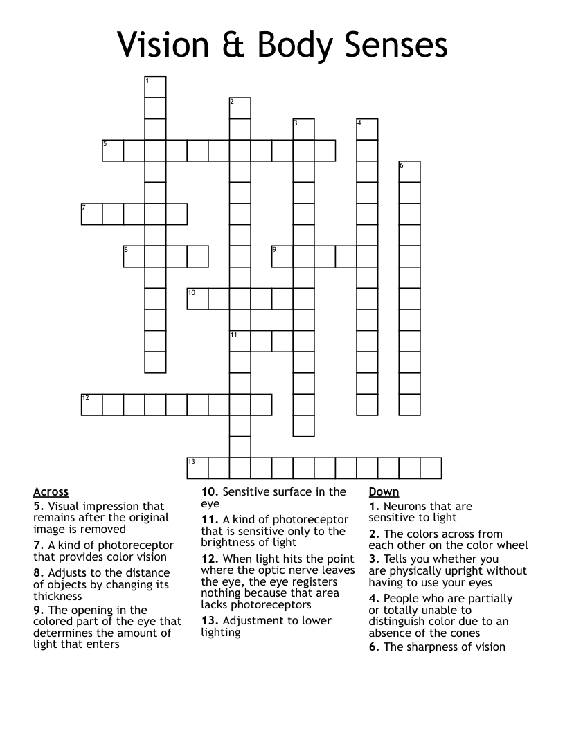 Vision & Body Senses Crossword