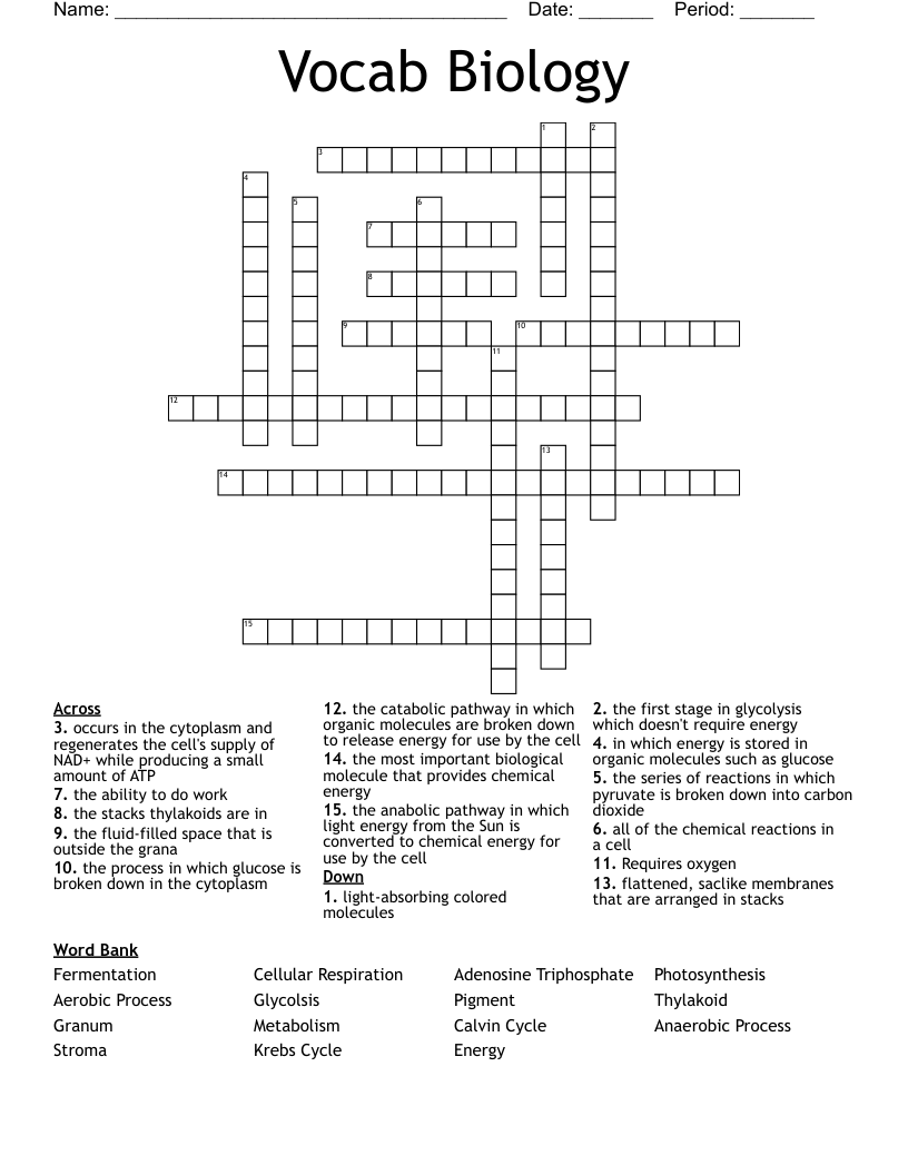 Vocab Biology Crossword