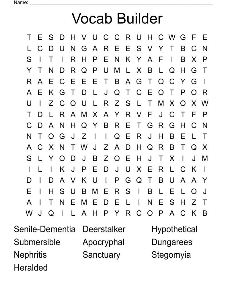 Vocab Builder Word Search