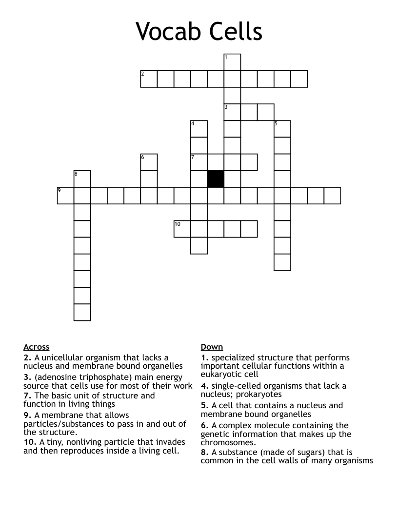 Vocab Cells Crossword
