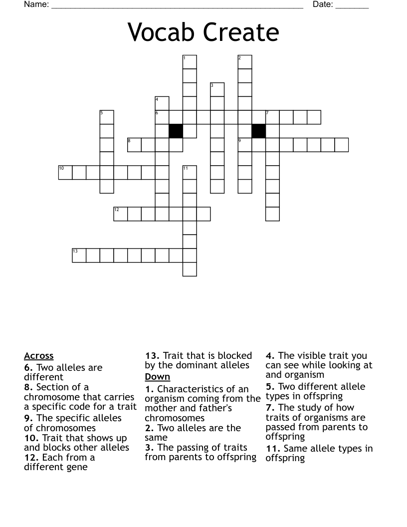 Vocab Create Crossword