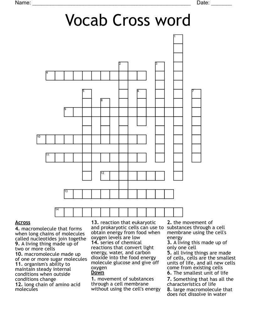 Vocab Cross word
