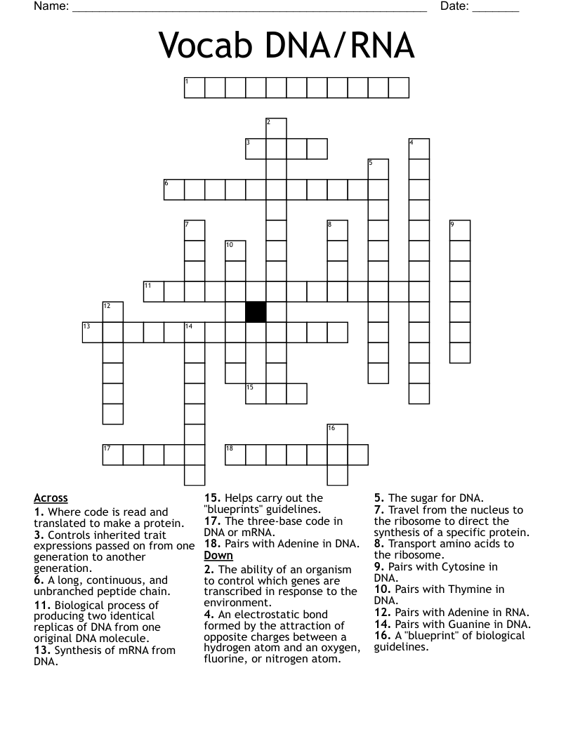 Vocab DNA/RNA Crossword